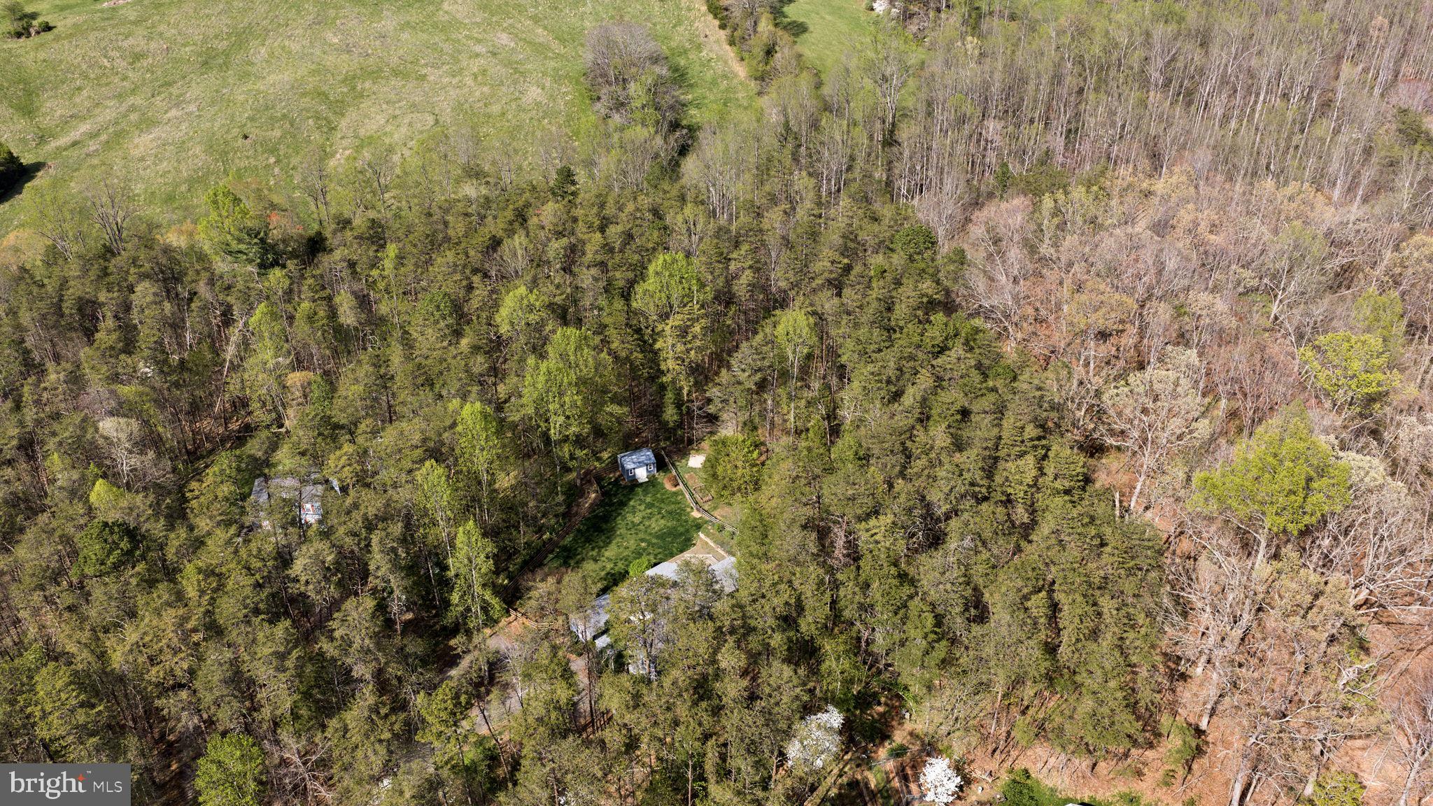 79 East Cedar Drive Ruckersville, VA 22968 - Photo 53 of 64