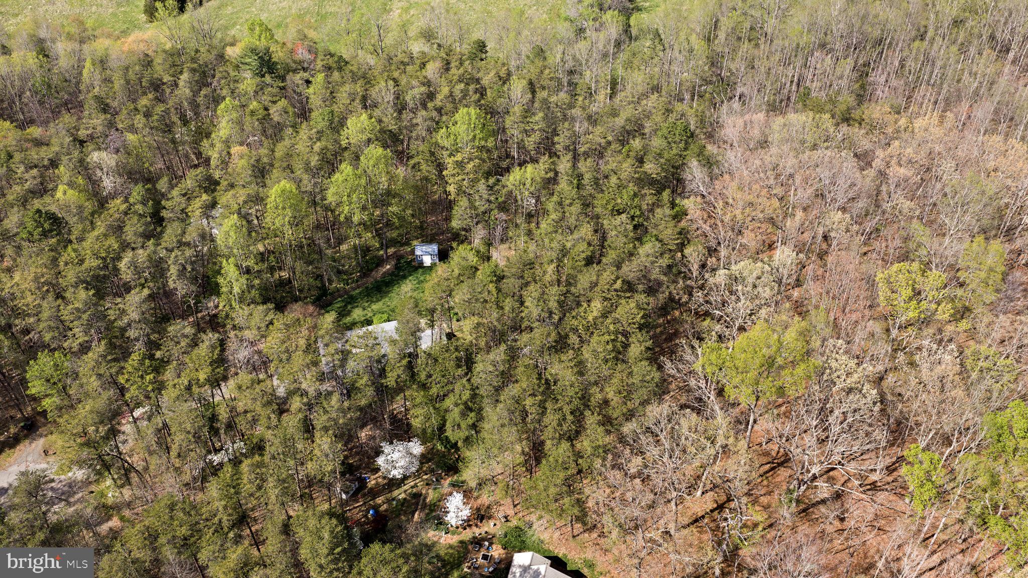 79 East Cedar Drive Ruckersville, VA 22968 - Photo 54 of 64