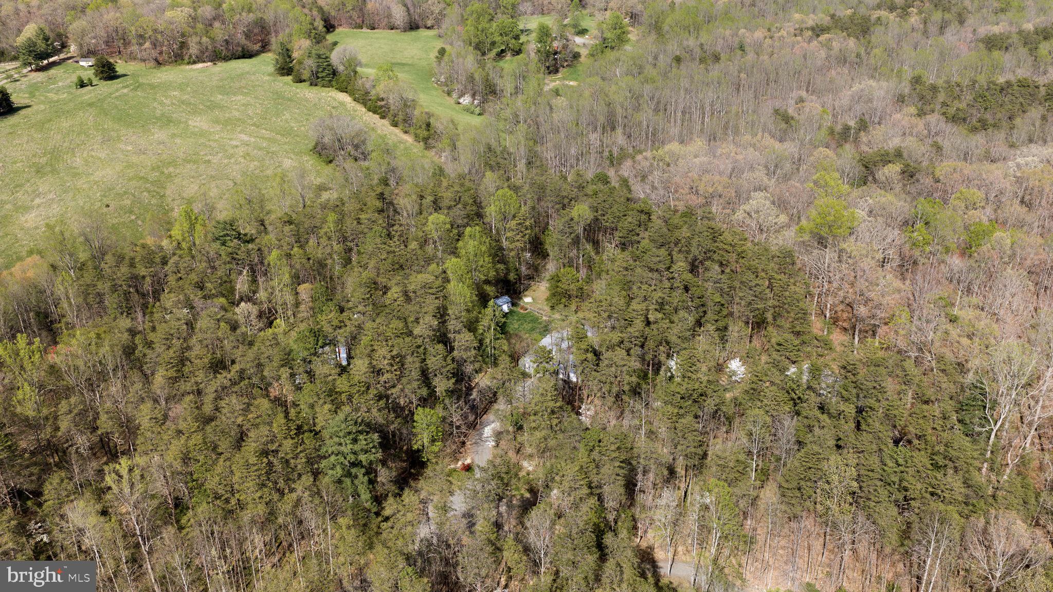 79 East Cedar Drive Ruckersville, VA 22968 - Photo 55 of 64