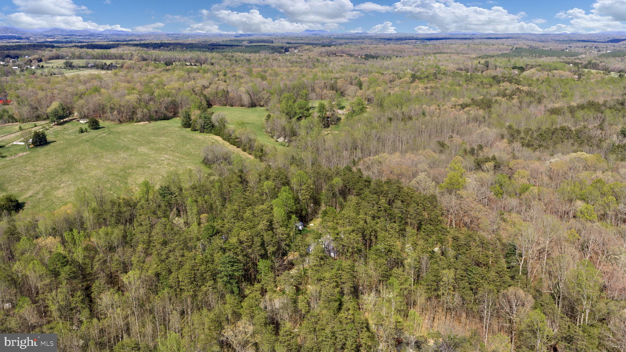 79 East Cedar Drive Ruckersville, VA 22968 - Photo 56 of 64