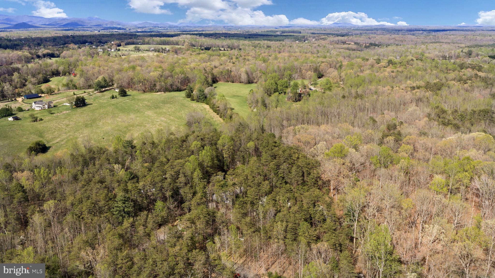 79 East Cedar Drive Ruckersville, VA 22968 - Photo 57 of 64