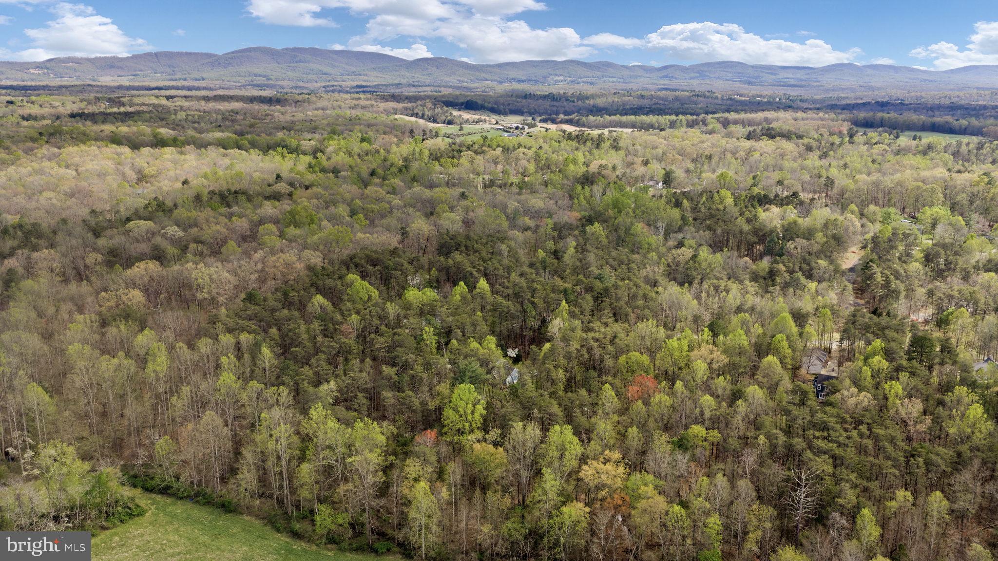 79 East Cedar Drive Ruckersville, VA 22968 - Photo 58 of 64