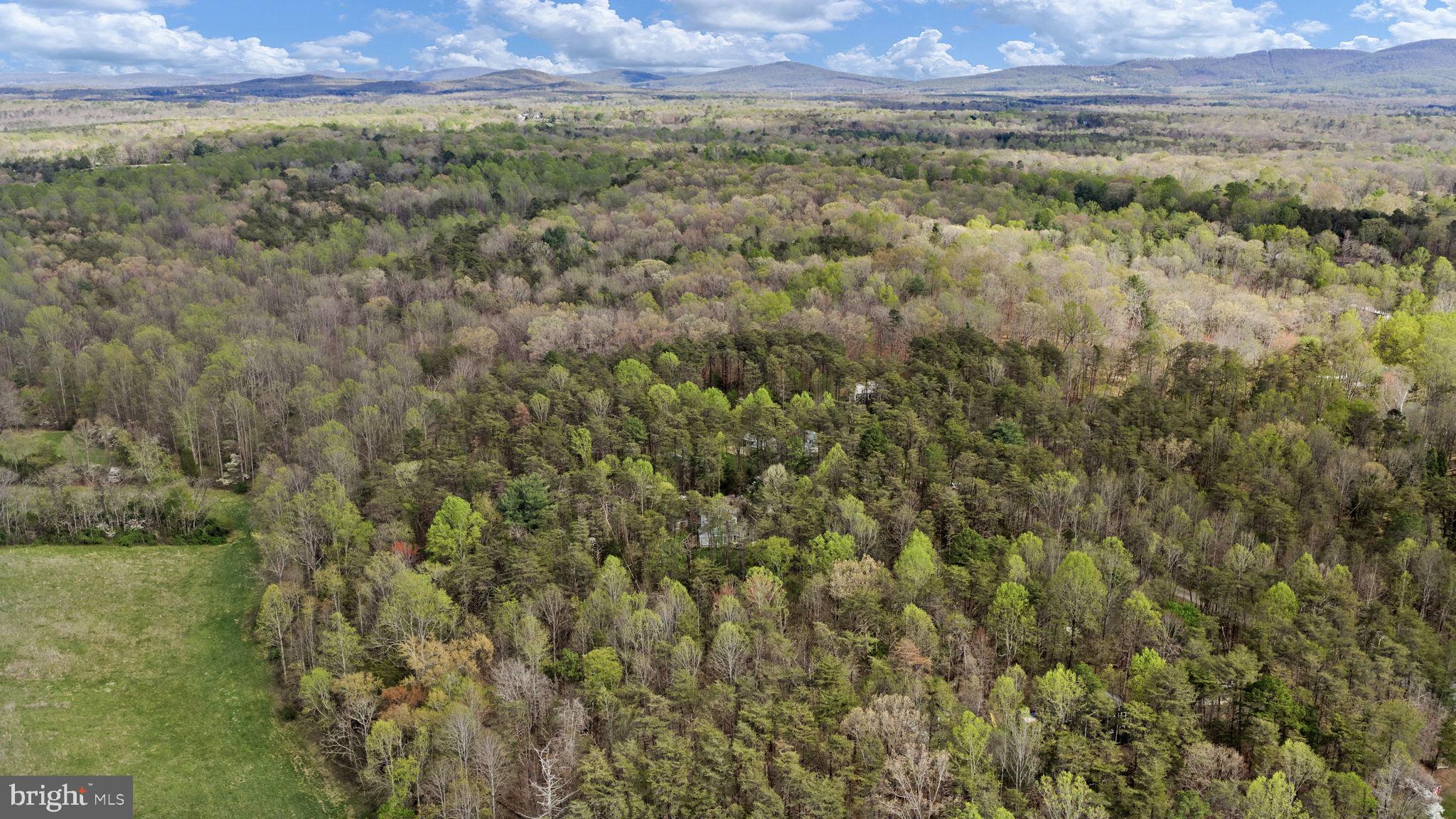 79 East Cedar Drive Ruckersville, VA 22968 - Photo 59 of 64
