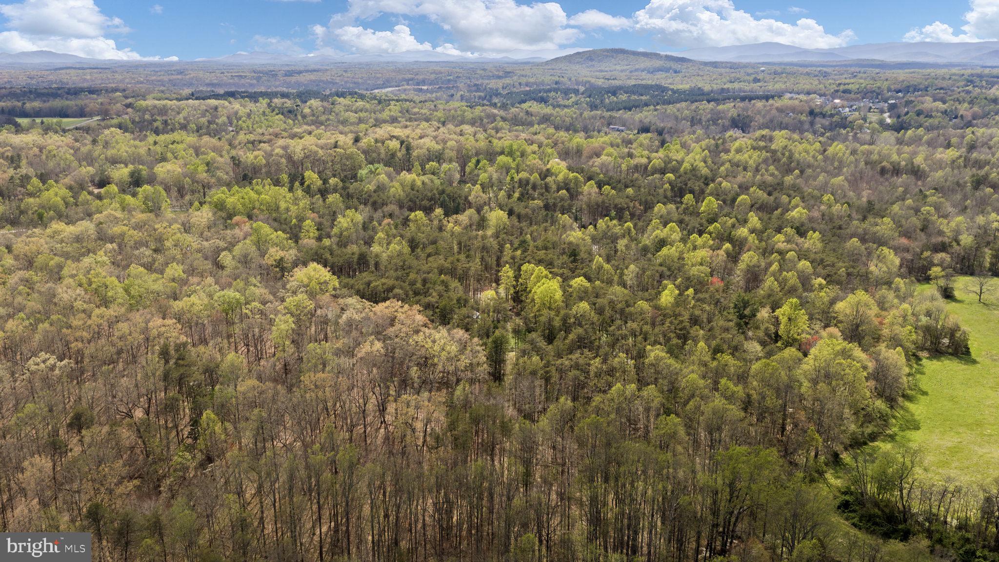 79 East Cedar Drive Ruckersville, VA 22968 - Photo 61 of 64