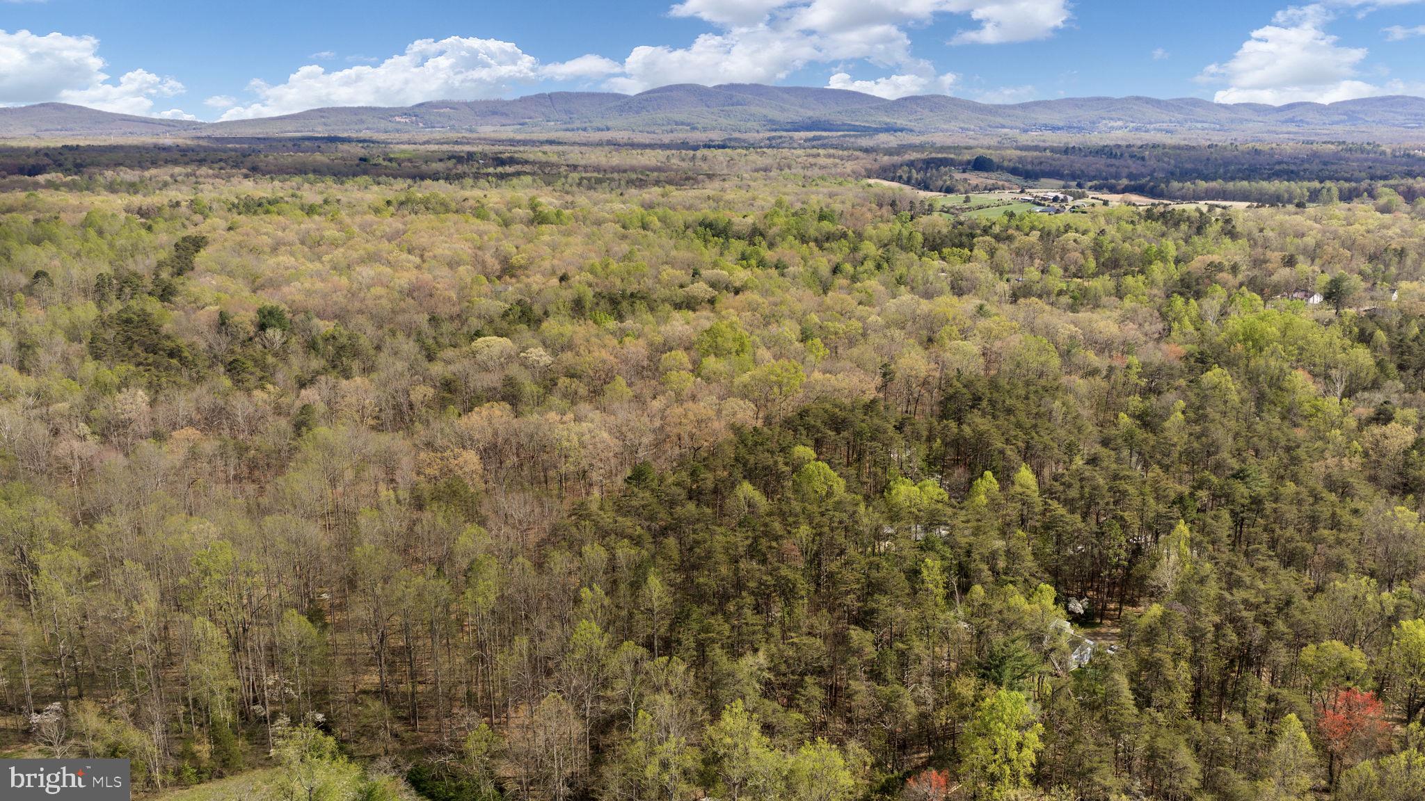 79 East Cedar Drive Ruckersville, VA 22968 - Photo 62 of 64