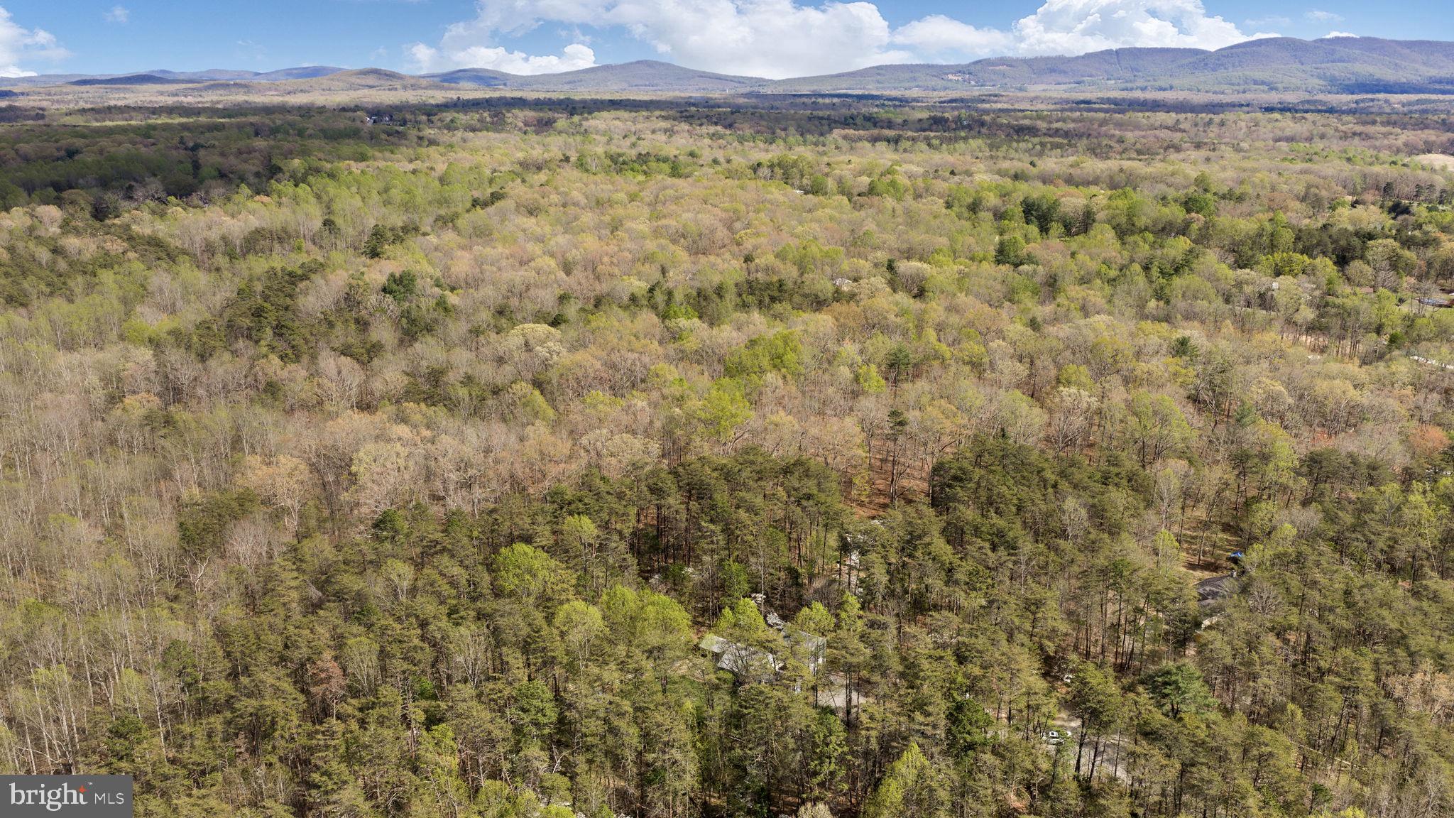 79 East Cedar Drive Ruckersville, VA 22968 - Photo 63 of 64