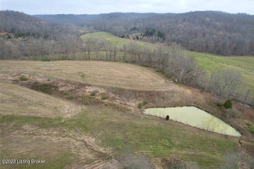 7000 Bowling Green Road Caneyville, KY 42721 - Photo 8 of 29 20