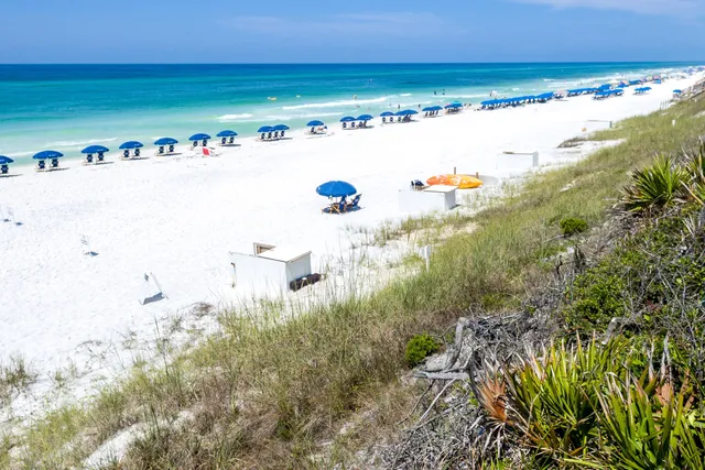 a view of beach and ocean