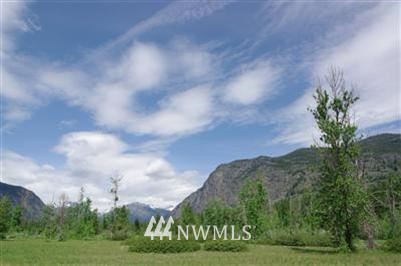 -xx Wilson Ranch Road Mazama, WA 98833 - Photo 1 of 1 Gallery Image 1