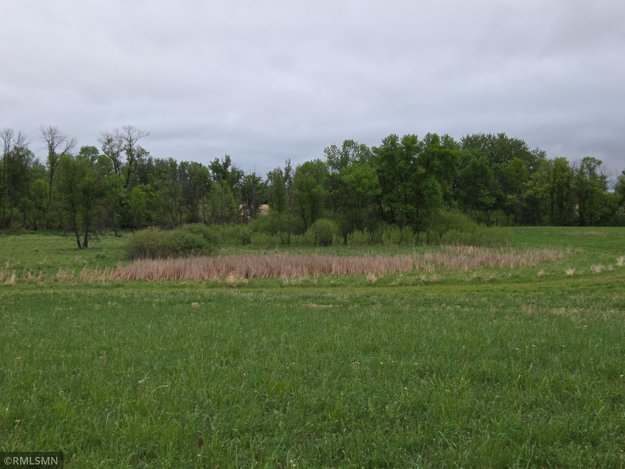 Tbd Tbd 484th Lane Waterville, MN 56096 - Photo 6 of 52