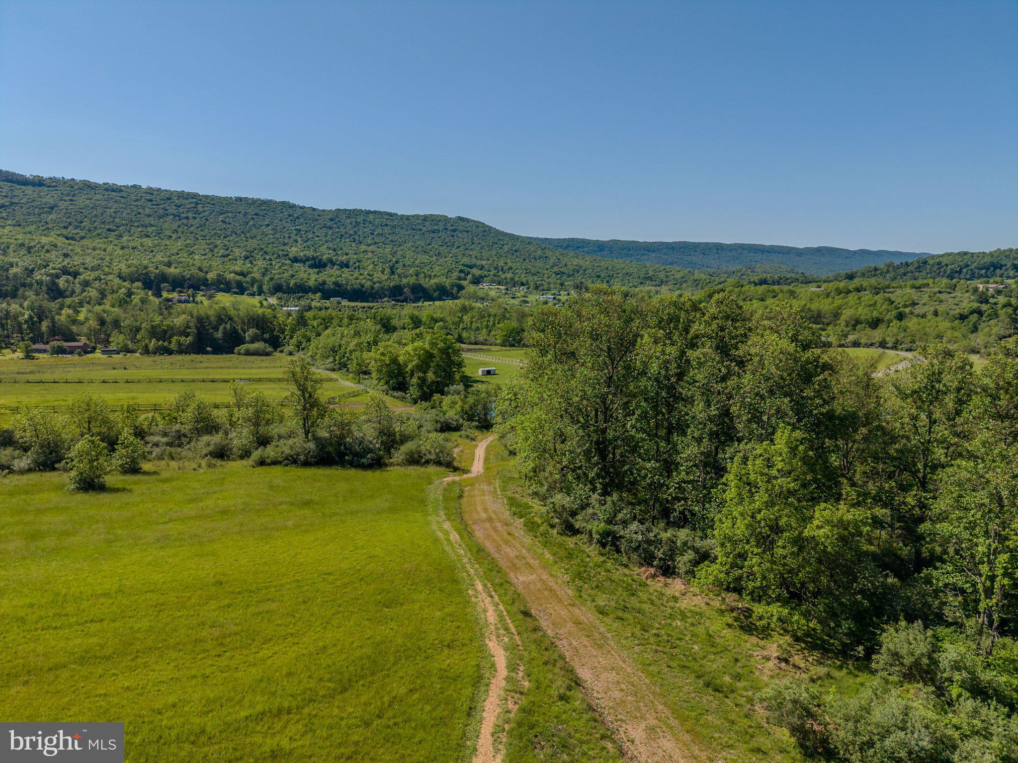 4503 Scotch Valley Road Hollidaysburg, PA 16648 - Photo 19 of 85