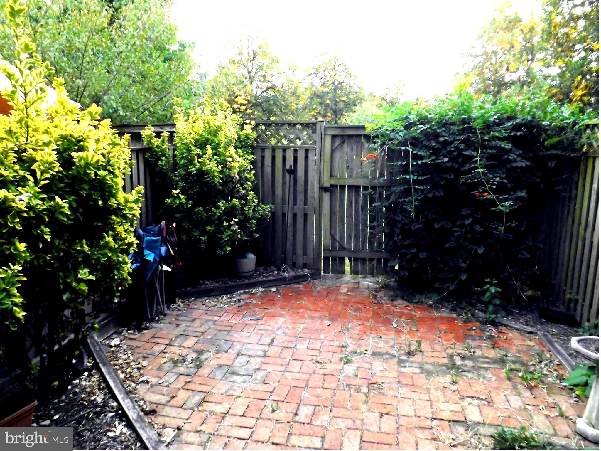 549 South Paca Street Baltimore, MD 21230 - Photo 2 of 4 a view of backyard with potted plants and large trees