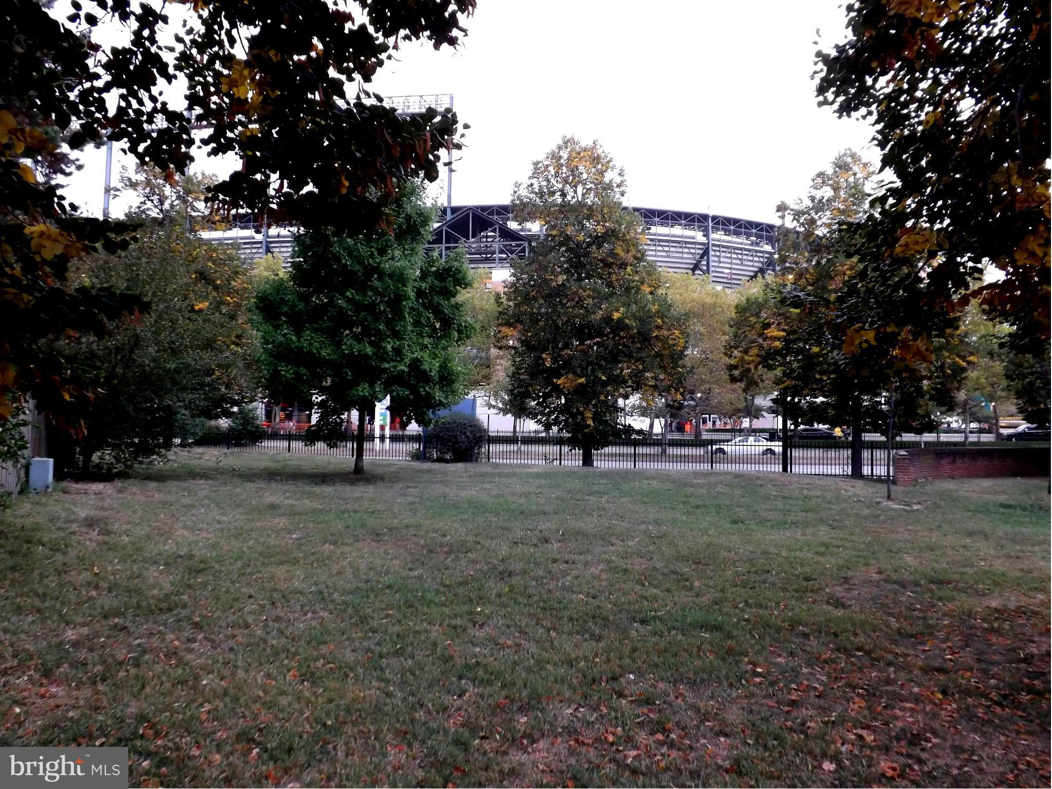 549 South Paca Street Baltimore, MD 21230 - Photo 3 of 4 a view of a trees in a yard