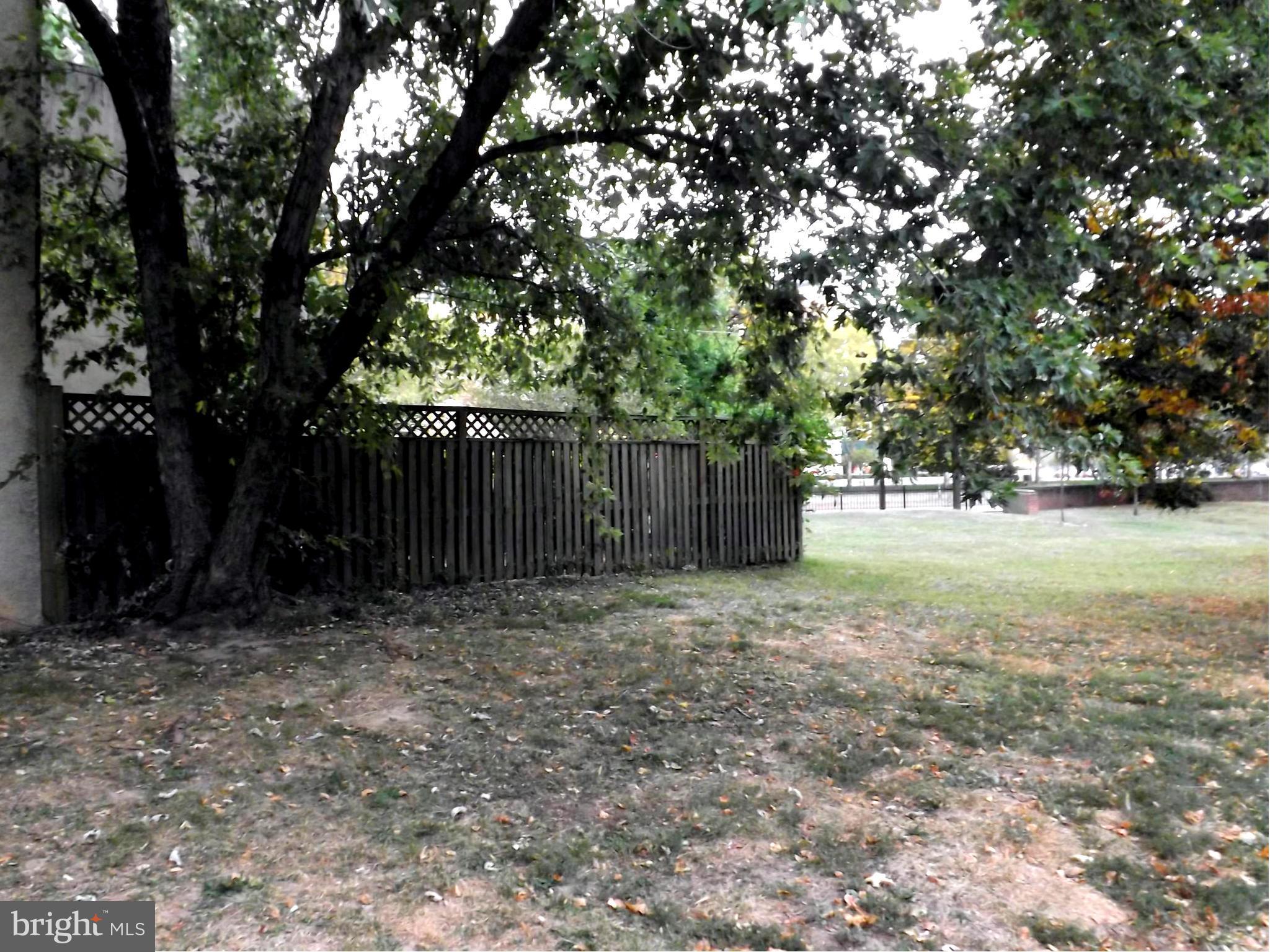 549 South Paca Street Baltimore, MD 21230 - Photo 4 of 4 a view of backyard with tree