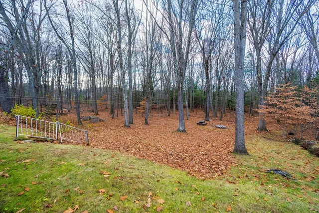 a view of a park with swings