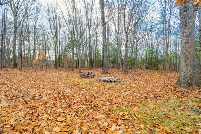 a backyard of a house with lots of green space and tall trees