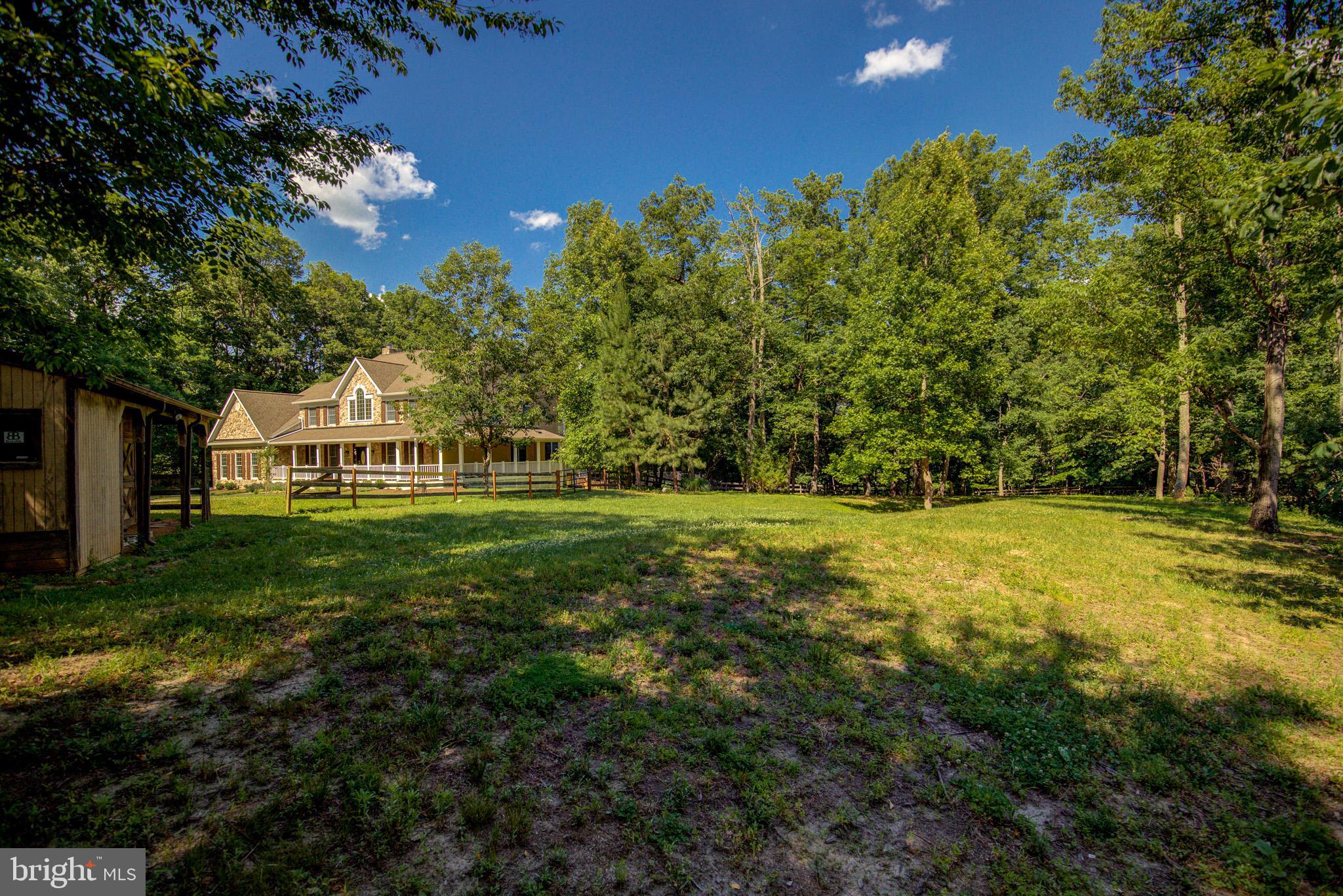 813 Blacks Hill Road Great Falls, VA 22066 - Photo 82 of 92 Plenty of Green Space to enjoy on 3 Acres!