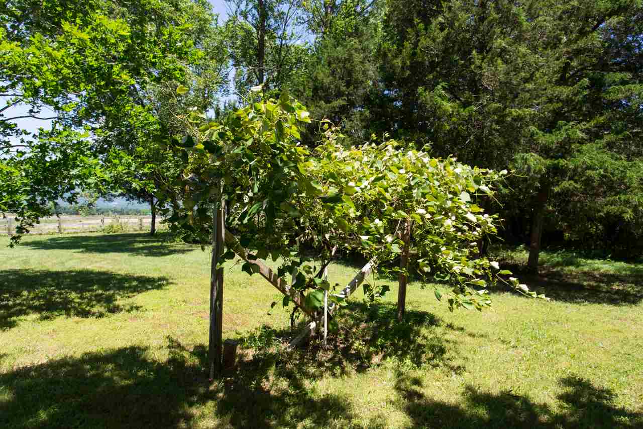 1093 Yager Road Luray, VA 22835 - Photo 32 of 38 Gallery Image 32