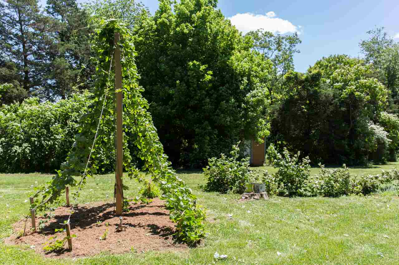 1093 Yager Road Luray, VA 22835 - Photo 33 of 38 Gallery Image 33