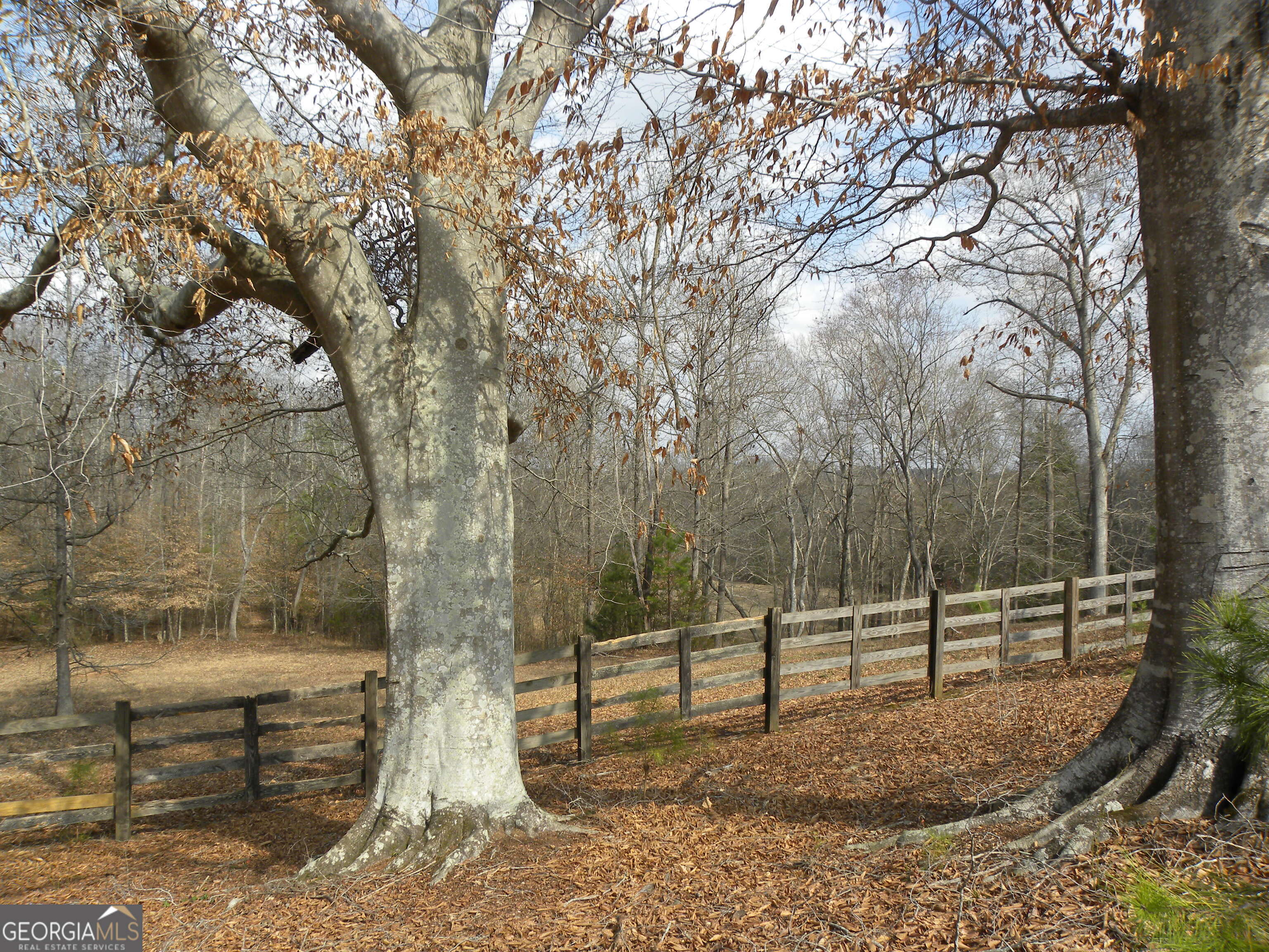 551 P Road Toccoa, GA 30577 - Photo 108 of 124 a backyard of a house with lots of green space