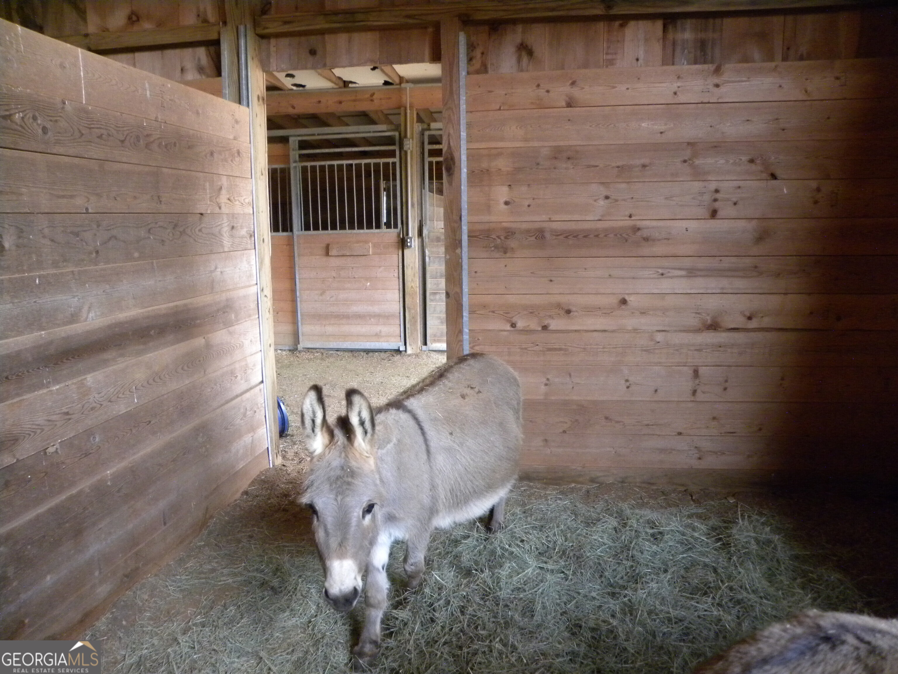 551 P Road Toccoa, GA 30577 - Photo 78 of 124 7 large box stalls