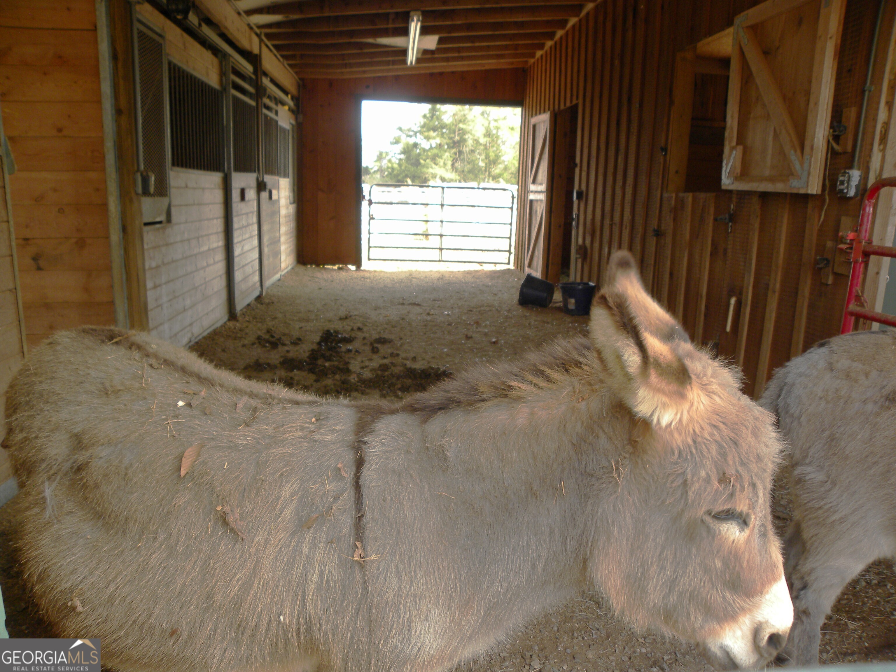551 P Road Toccoa, GA 30577 - Photo 81 of 124 a very nice looking room with a large window