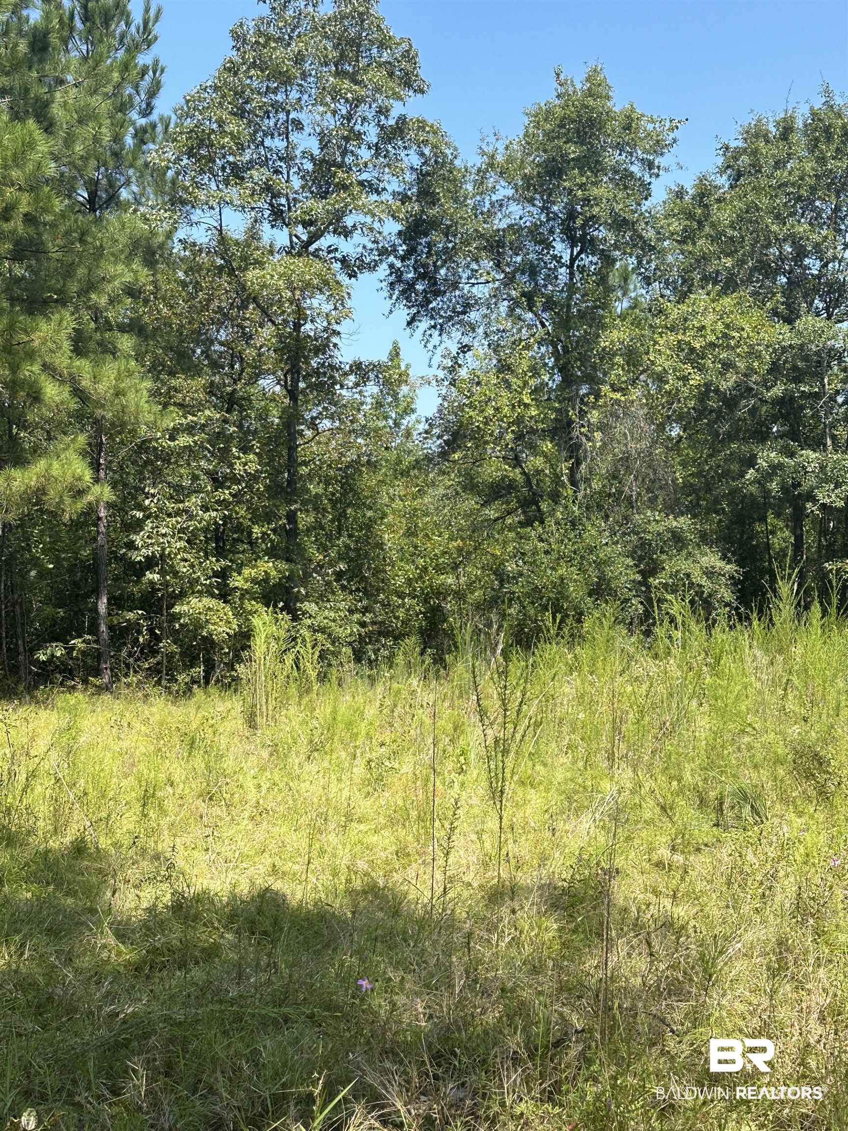 17175 Kelly Road Mount Vernon, AL 36560 - Photo 18 of 30 View of nature