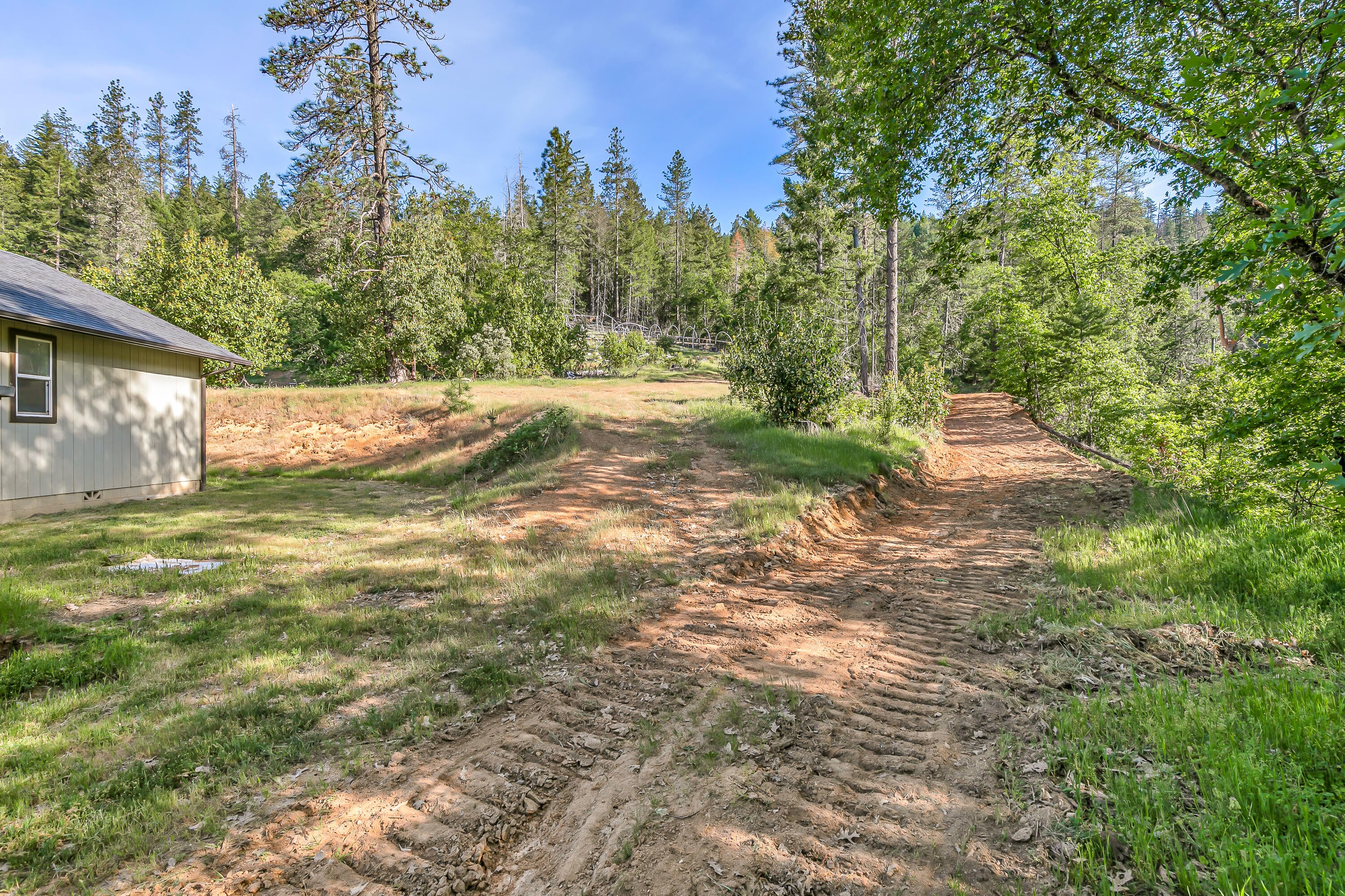3540 Galice Road Merlin, OR 97532 - Photo 35 of 47 Dirt road