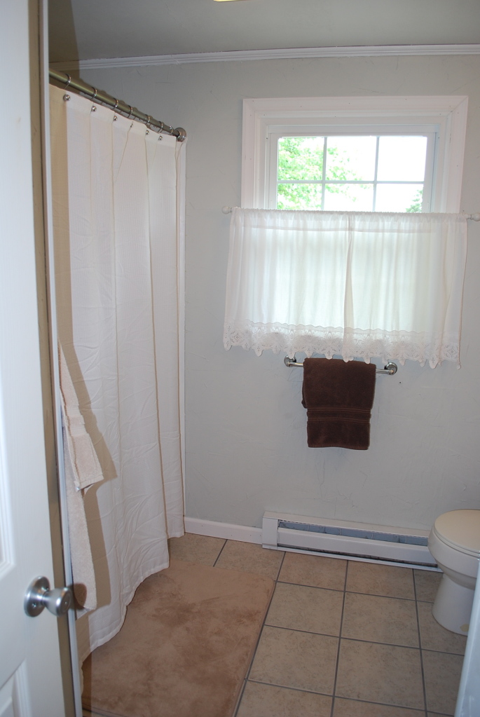 1199 Little Timber Ridge Buchanan, VA 24066 - Photo 13 of 14 BATH