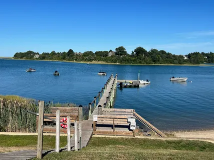a front view of a house with a garden and trees