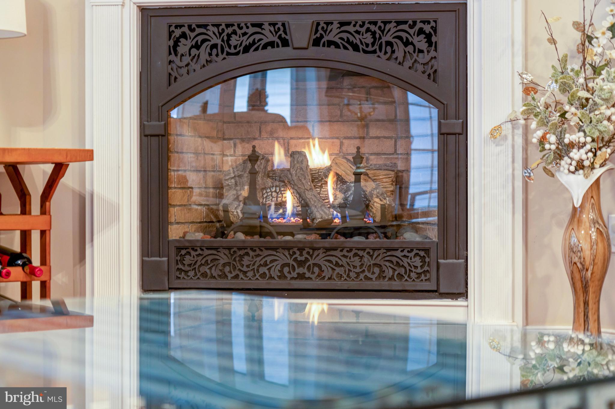 74 Cinder Way Georgetown, DE 19947 - Photo 46 of 55 Natural gas fireplace