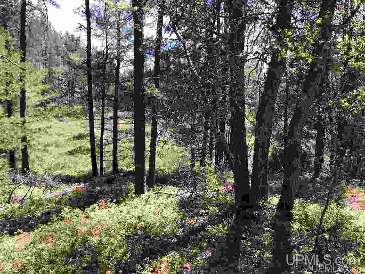 12481 Big Lake Campground Road Watton, MI 49970 - Photo 14 of 16 Gallery Image 14