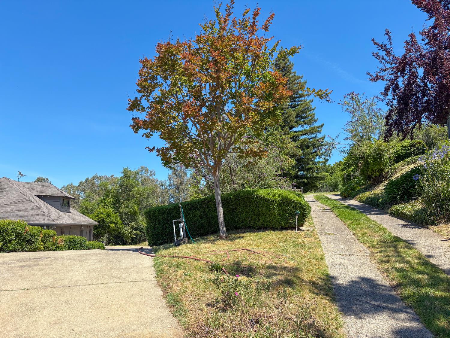 5858 Butler Road Penryn, CA 95663 - Photo 49 of 66
