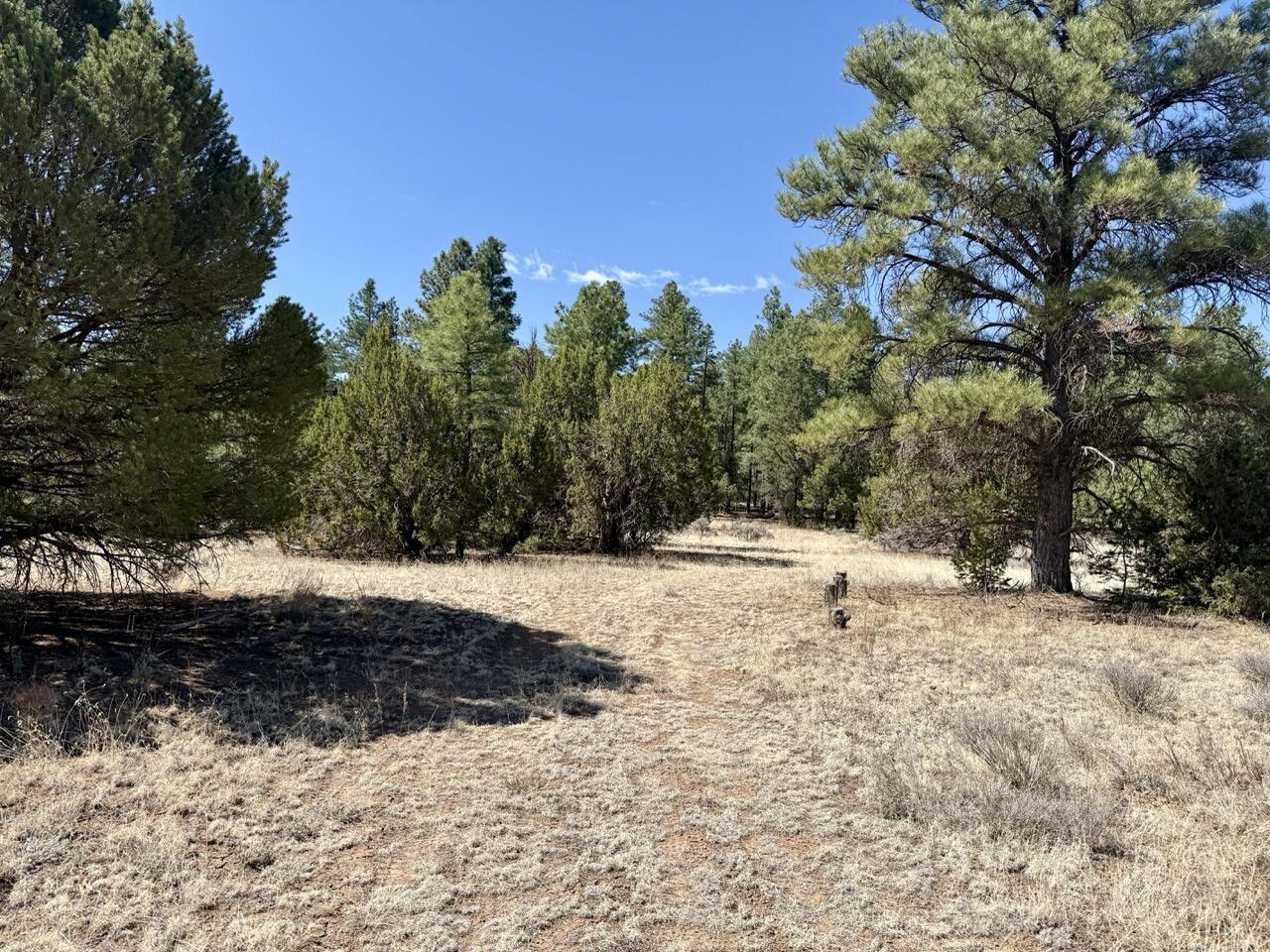 823 Timberlake Road Ramah, NM 87321 - Photo 11 of 47 Gallery Image 11