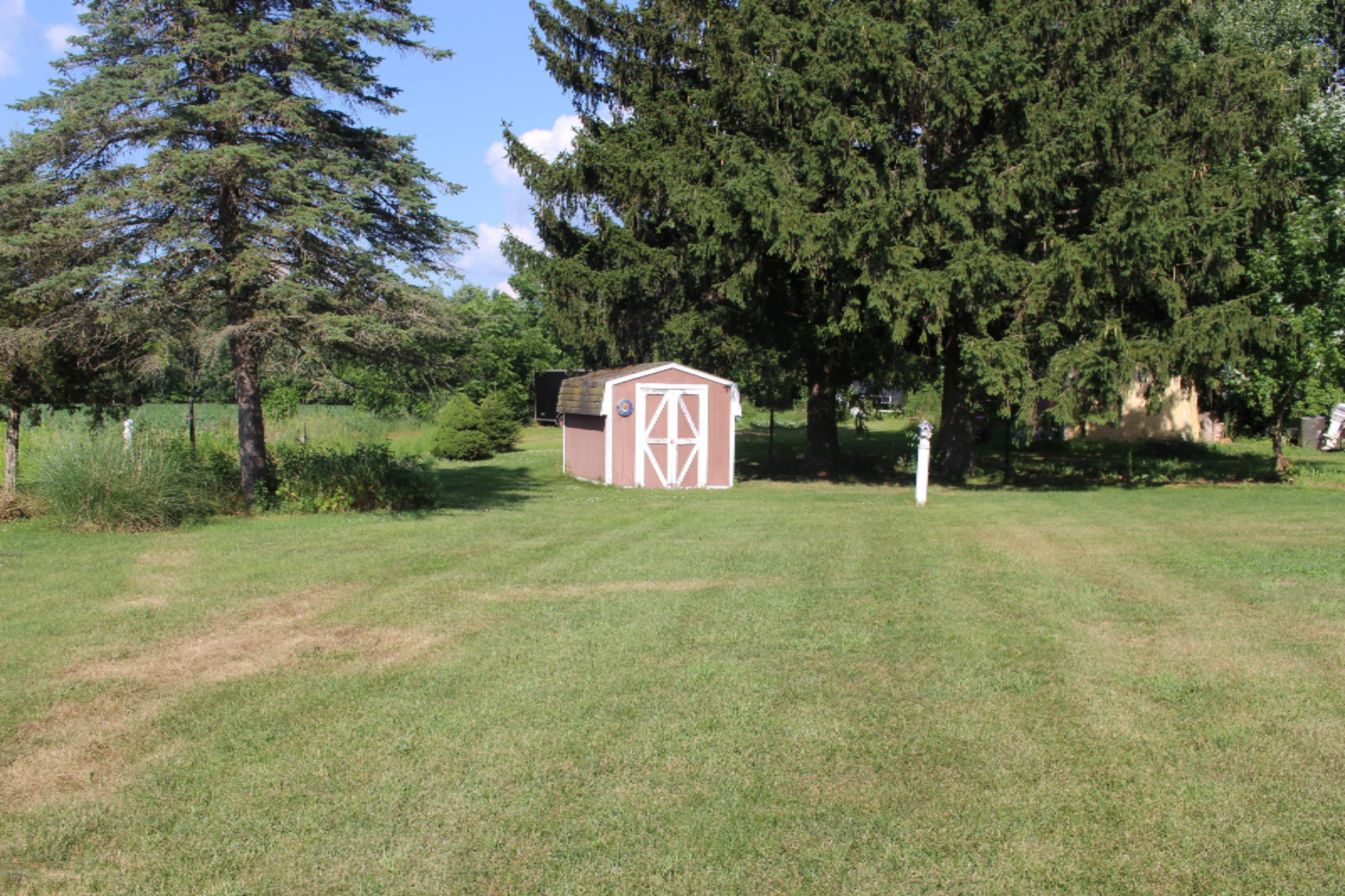 698 Homer Road Litchfield, MI 49252 - Photo 19 of 21 IMG_0790