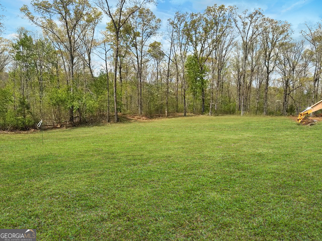 102 Broad River Road, Unit LOT 6 Eastanollee, GA 30538 - Photo 9 of 9 a view of a field with trees in the background