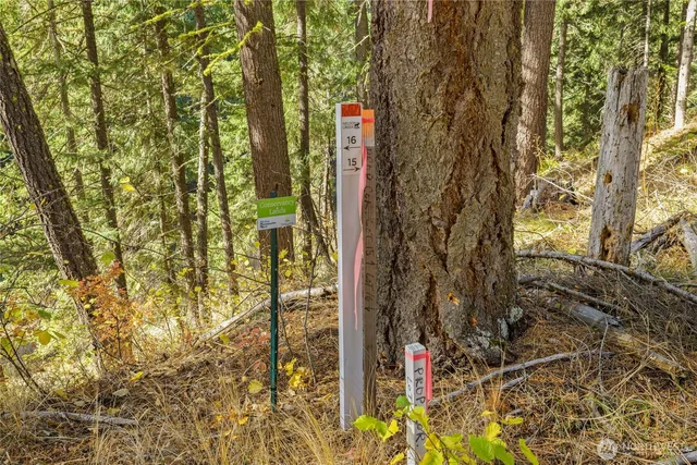 a view of outdoor space and trees