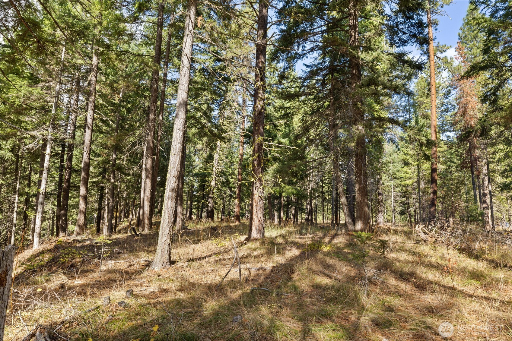 15 Farmhouse Way Cle Elum, WA 98922 - Photo 11 of 27 a view of a yard with large tree