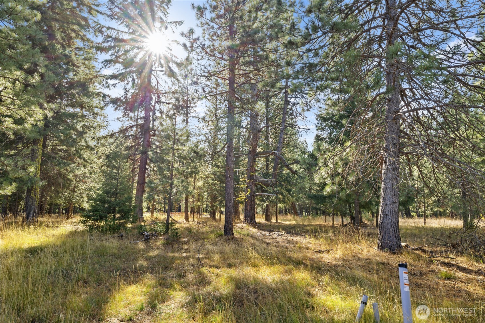 15 Farmhouse Way Cle Elum, WA 98922 - Photo 12 of 27 a view of yard