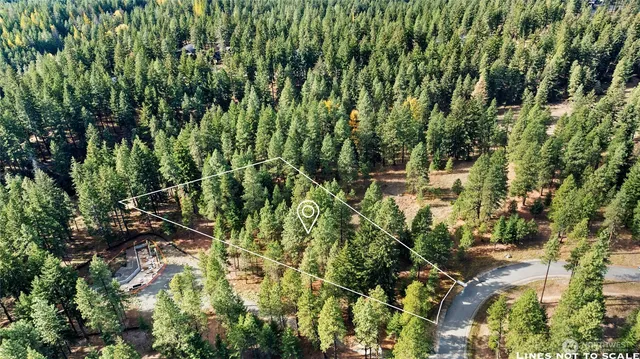 a view of a garden with plants