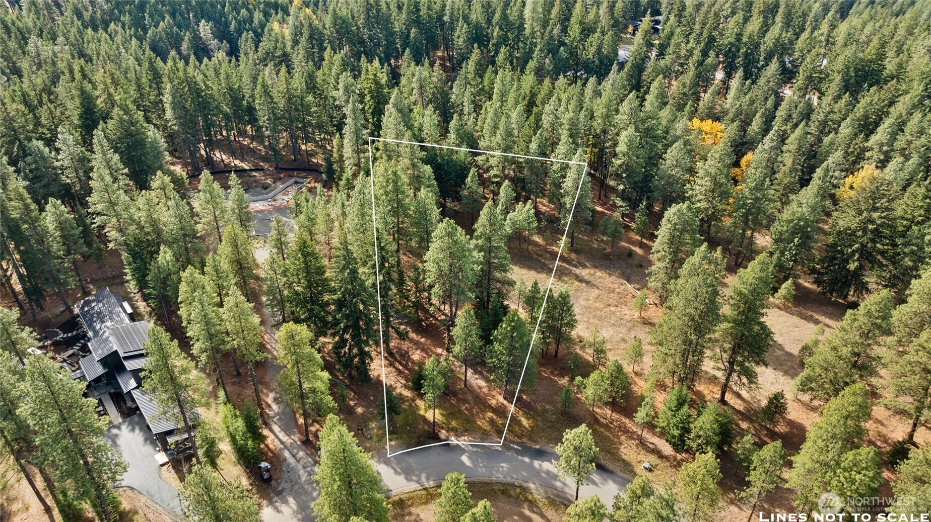 15 Farmhouse Way Cle Elum, WA 98922 - Photo 2 of 27 a view of a lush green forest with lots of trees