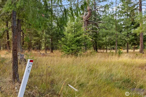 a view of swimming pool with a yard and trees