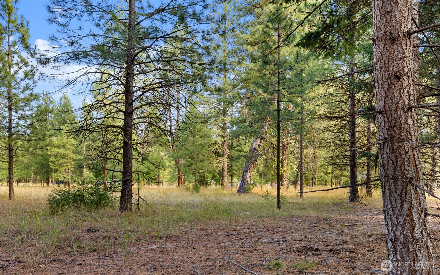15 Farmhouse Way Cle Elum, WA 98922 - Photo 7 of 27 a view of outdoor space with trees