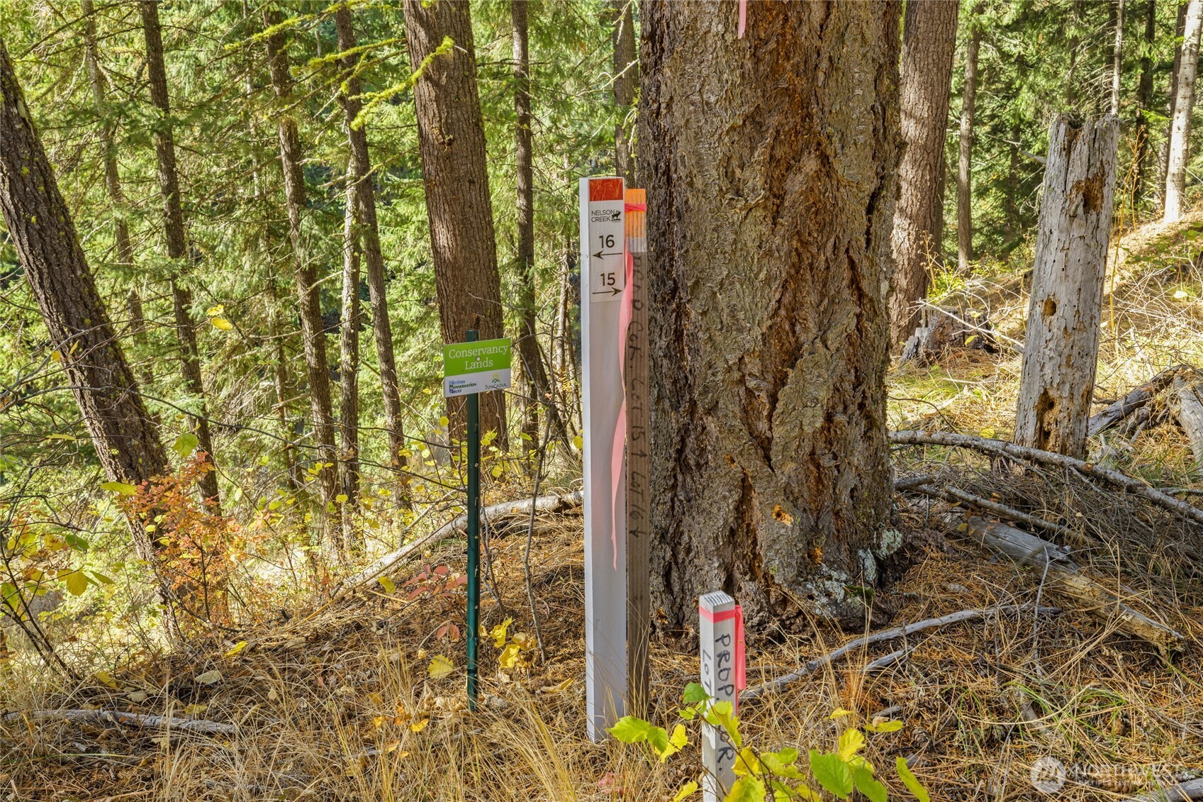 15 Farmhouse Way Cle Elum, WA 98922 - Photo 9 of 27 a view of outdoor space and trees
