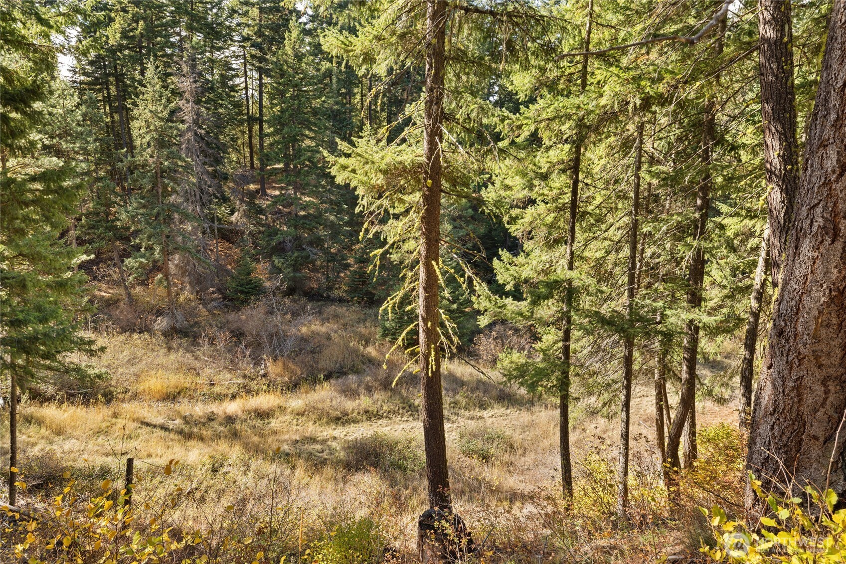 15 Farmhouse Way Cle Elum, WA 98922 - Photo 10 of 27 a view of a yard