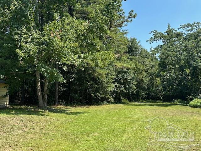 3090 Highway 4 Jay, FL 32565 - Photo 5 of 29