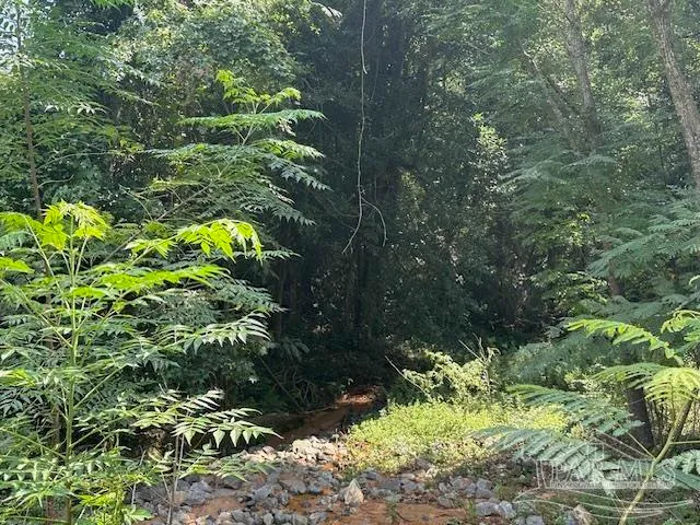 $162,900 | 3090 Highway 4, Jay, FL 32565