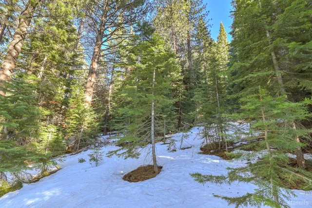 a view of backyard of the house