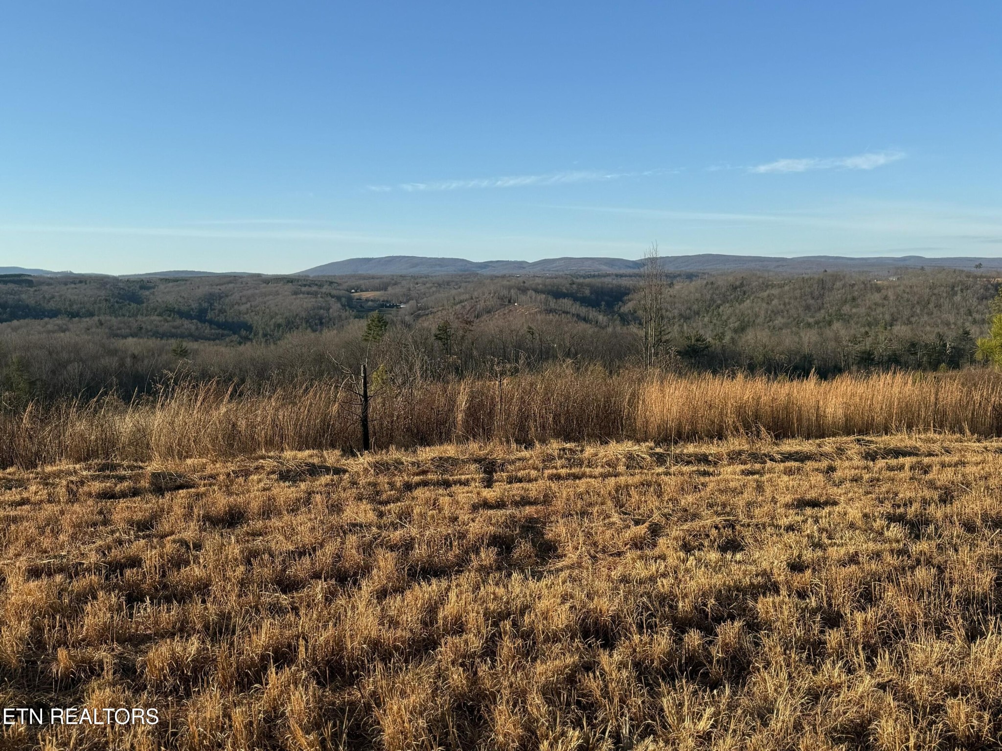 0 Possom Trot Road Grandview, TN 37337 - Photo 3 of 11 a view of a lake view and mountain