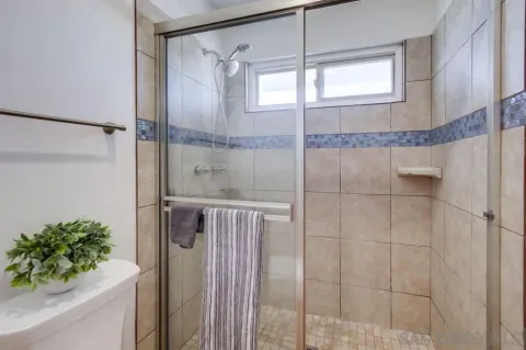 a bathroom with a shower and a plant in it